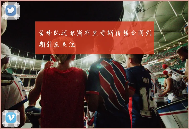 黄蜂队迈尔斯布里奇斯待售合同到期引发关注