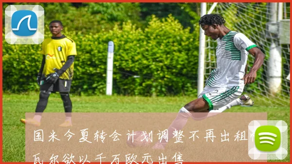 国米今夏转会计划调整不再出租帕瓦尔欲以千万欧元出售